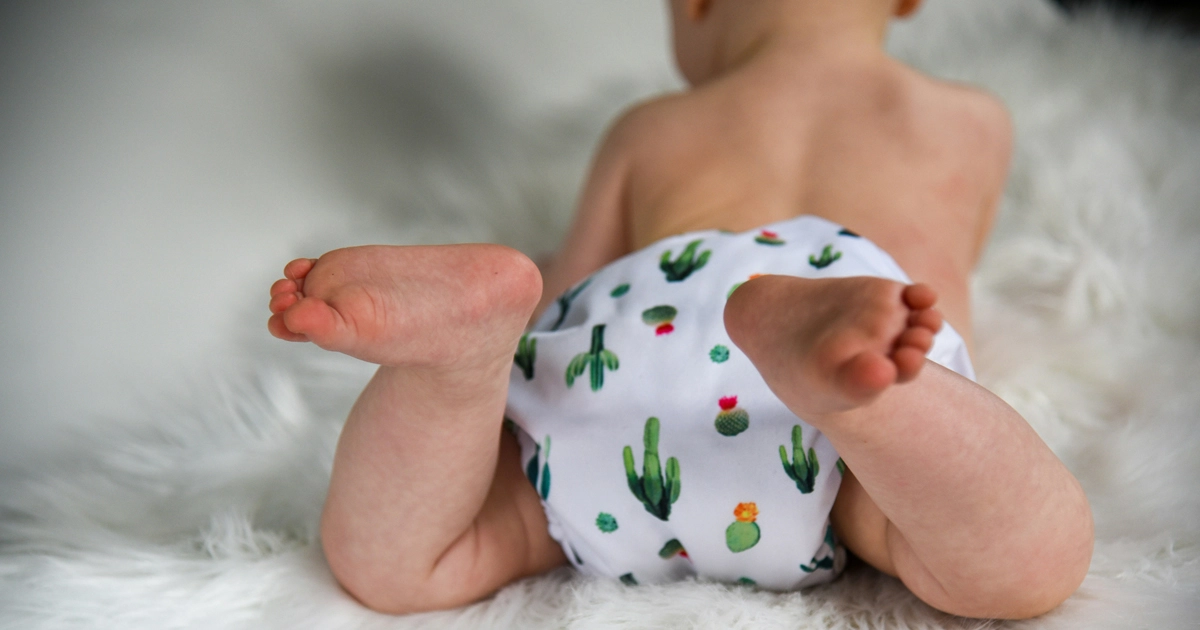 تدريب الحمام للأطفال